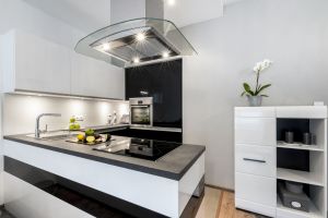 Kjokken-Black-And-White-Kitchen-Modern-86542691
